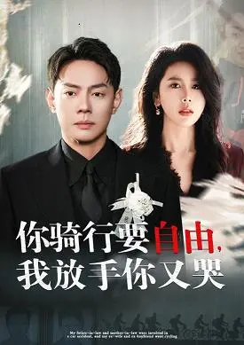 你骑行要自由我放手你又哭 海报